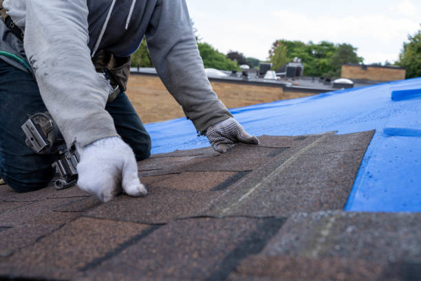 Gutter Installation and Roofing in Alsip, IL