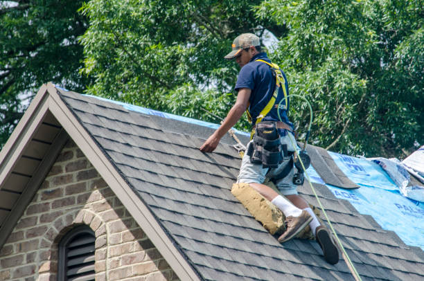 Best Storm Damage Roof Repair  in Alsip, IL